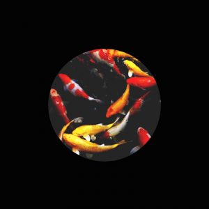 IMAGES ARTISTES CARRES3 1 300x300 4997398 7114337.