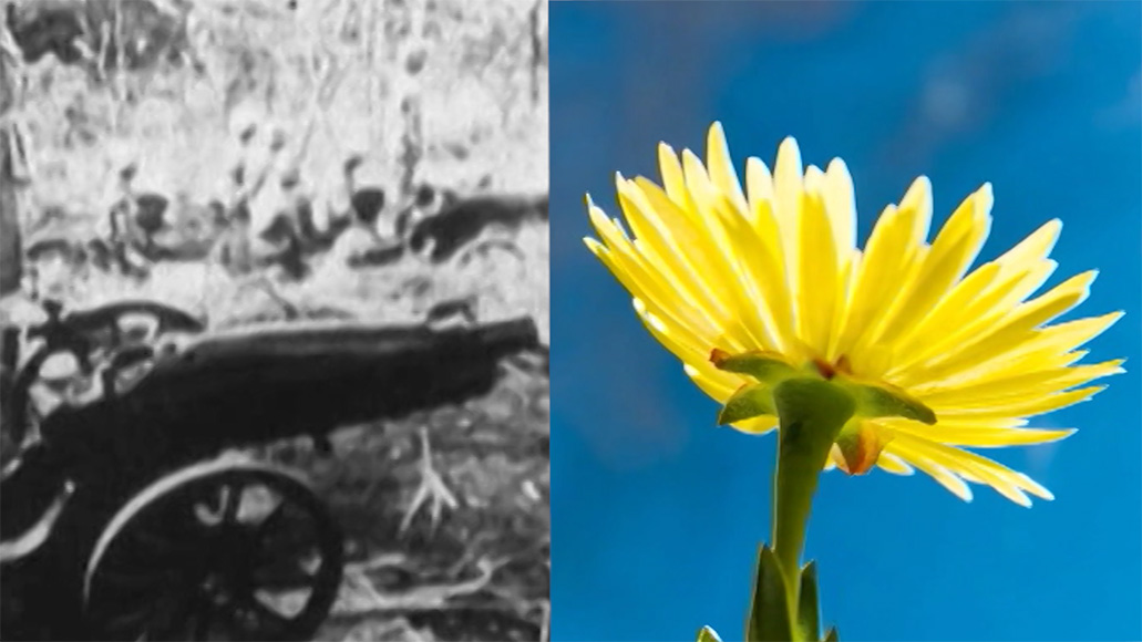 didier valentine landing 8321966 9235037.