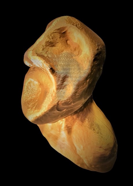 lhp 3427784 3096120.